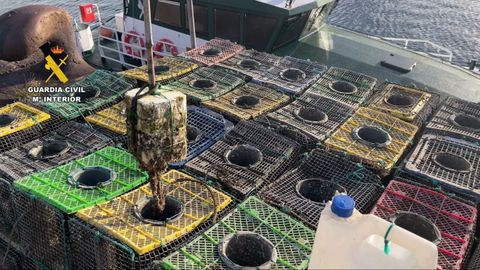 Nasas decomisadas para la pesca ilegal de pulpo en el puerto de El Musel en Gij�n.