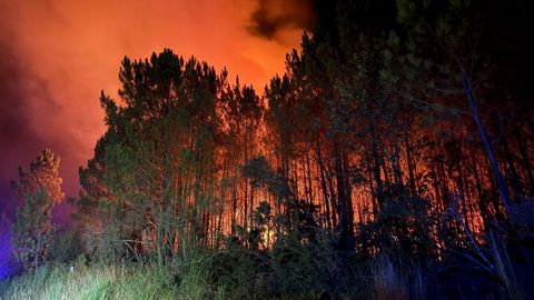 En la madrugada de ayer se vivió un susto en la parroquia de Nebra, en Porto do Son, al registrarse un incendio que finalmente afectó a unos 400 metros cuadrados. Intervinieron en el operativo el GES de Noia y dos brigadas forestales.