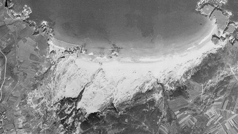 315 metros de ancho de playa. En el año 1956 la foto aérea revela una gran duna en la que abundaba flora y fauna casi desaparecida hoy en día, como la planta denominada «omphalodes littoralis», un escarabajo conocido como «eurynebria complanata», al que los expertos le achacan un gran poder regenerador del arenal, ya que es capaz de tratar detritos en plena línea de marea u otro ejemplar similar, el «zabrus pinguis» y aves como la píllara de la duna.