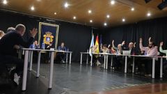 Votaci�n en el pleno ordinario del mes de marzo de Ribeira.