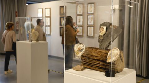 En total participan 21 artistas de O Morrazo