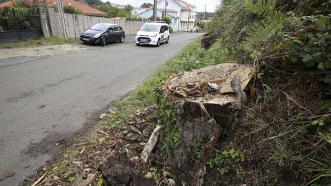 Imagen de archivo de la carretera hacia el Castillo de la Palma