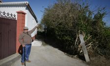 Rodrigo Cores, vecino de la zona, se�ala el nido situado a un par de metros de una vivienda. 
