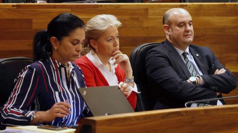  La presidenta de Foro, Cristina Coto (c), ha anunciado hoy su decisi�n de dimitir al frente del partido tras ser desautorizada por la Comisi�n Directiva de esta formaci�n en relaci�n a su decisi�n de cambiar la situaci�n laboral de una de las asesoras del grupo parlamentario. En la imagen Coto y los diputados de Foro, Carmen Fern�ndez (i) y Pedro Leal (d), durante el pleno de la Junta General tras anunciar su dimisi�n