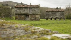 Entorno de las Torres do Allo, pr�ximo al lugar de O Pombal