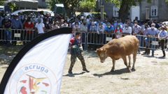 Buenos precios y buena afluencia de ganaderos caracterizaron la subasta de Adai 