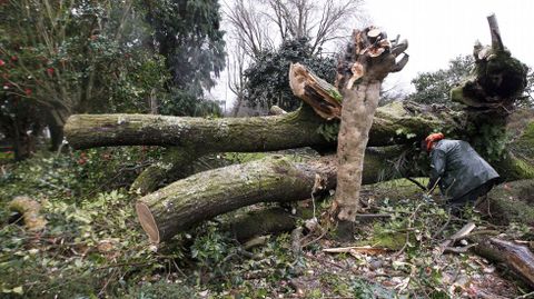 Los efectos del temporal en la Alameda de Santiago