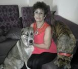 Visi con Thor y su otro perro en su vivienda carballesa.