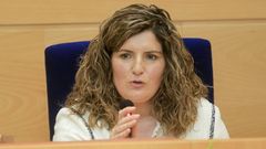 Mari�n Ferreiro se compromete a incrementar el programa de ayudas si es necesario