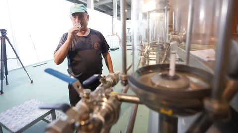La cata permite tomar decisiones durante el proceso de elaboraci�n