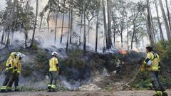 Uno de los incendios registrados el pasado a�o en Mea�o.