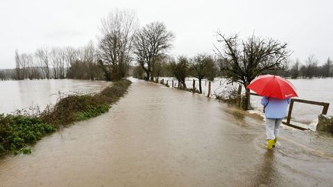 Los efectos del temporal se sintieron en toda la provincia en los primeros das del ao