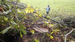Mar�a Josefa Caaveiro Fraga tiene previsto denunciar los hechos hoy en el cuartel de la Guardia Civil