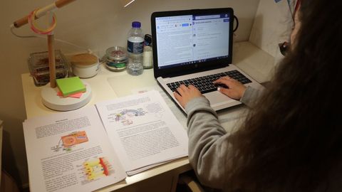 Una estudiante de Enfermar�a de la USC, participando en una clase virtual en el mes de marzo