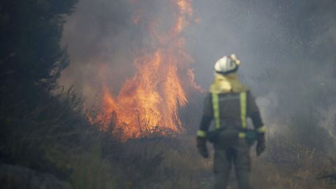 El fuego se declar poco antes de la una de la tarde