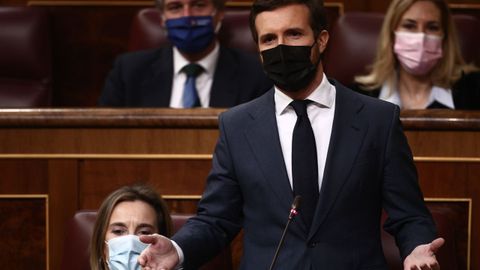 Casado, durante una intervencin en el Congreso