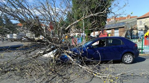 Un rbol de la alameda de San Tom cay sobre un coche en 2016