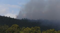 El humo negro que desprend�a el incendio era visible desde diferentes puntos de la comarca.