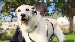 Las mejores fotos de Cholito