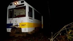 El tren averiado
