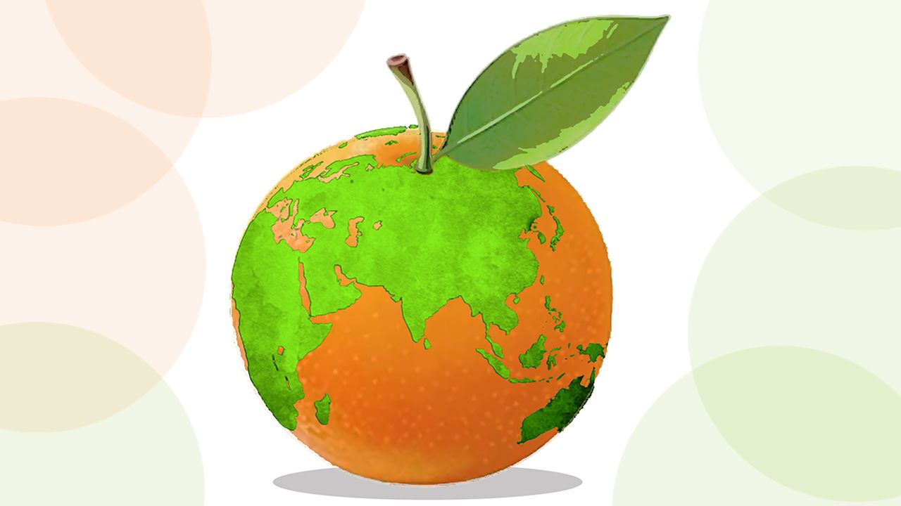 Es tiempo de mandarinas