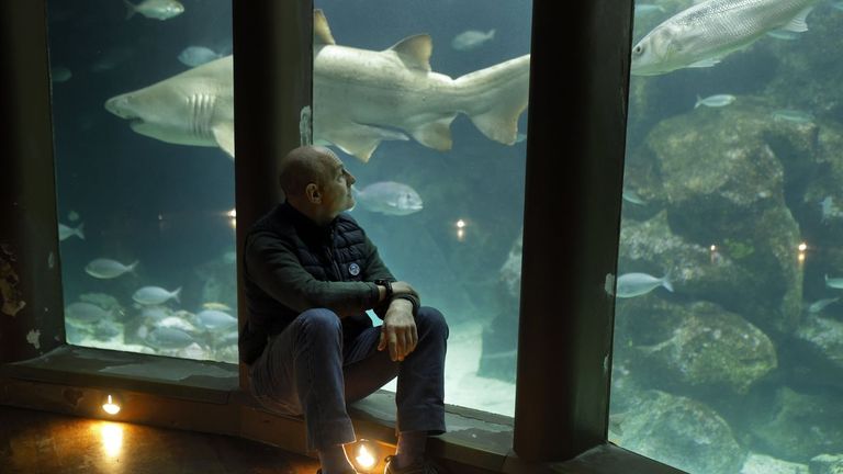 El tibur�n Gast�n, justo detr�s, y su cuidador, Antonio Vilar