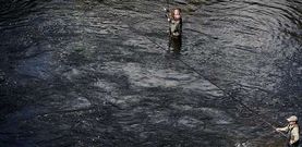 Los pescadores de la zona tienen ya lista la ca�a para iniciar hoy una nueva temporada de pesca que arranca con los r�os altos.