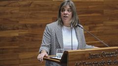 La vicepresidenta del Principado, Gimena Llamedo, durante su intervencin este martes en el pleno de la Junta general del Principado