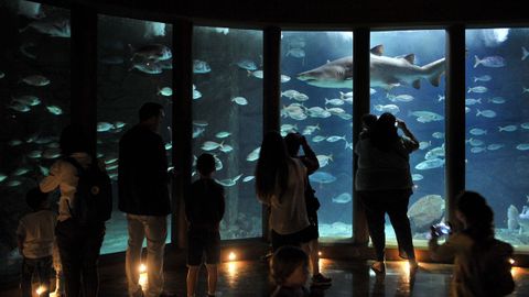 Aquarium Finisterrae, en A Corua