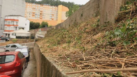 Imagen de los desbroces realizados en das pasados junto a la estacin de tren de Viveiro