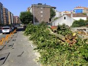 Sustituir �rboles por arbolitos es un problema. 