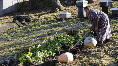 Una vecina, en la huerta