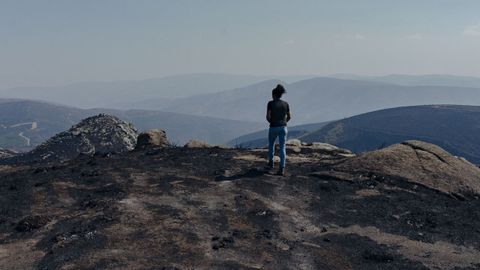 La provincia de Ourense es la que ms afectada se ha visto hasta ahora por el efecto de los incendios en la ganadera 