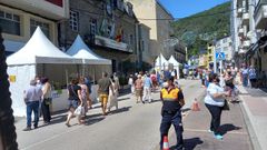 Los puestos de venta de los apicultores locales se instalaron en la calle Real