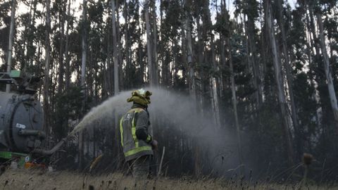 Incendio en una nave de pollos de Castro de Rei.