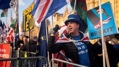 Un manifestante proeuropeo se manifiesta ante el Parlamento britnico