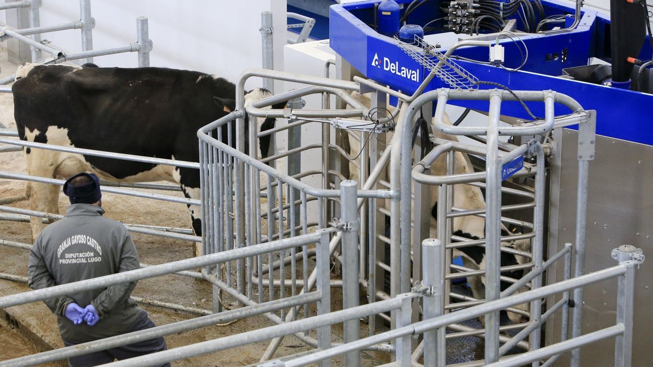 Carros mezcladores inteligentes, robots y tractores eficientes: esto es lo que se podrá comprar con las nuevas ayudas de Medio Rural