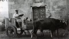 Picadillo, montado nun carro de vacas no pazo familiar de Anzobre.