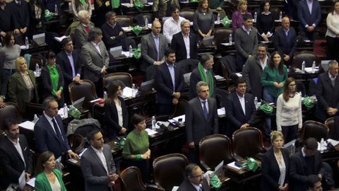Manifestantes proabortistas y contrarios a la legalizaci�n se manifestaron frente al Parlamento de Buenos Aires durante el debate del proyecto del ley