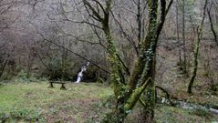 Ribeira da Pena, entre Carballo y Cerceda