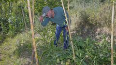 Manuel Gonz�lez, de Sachos � R�a, en el bosque comestible de Pedra Furada