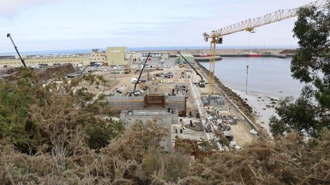 Las obras de las futuras instalaciones, que comenzaron la pasada primavera, avanzan a buen ritmo en la explanada portuaria pr�xima a la lonja