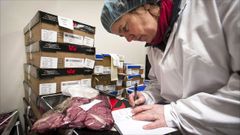 Desmantelan una red que comerciaba con carne de caballo no apta para el consumo