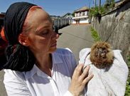 El animal fue encontrado en una cuneta muy malherido pero ya est� a salvo.