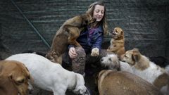 Protectora Gatoc�n en Coir�s