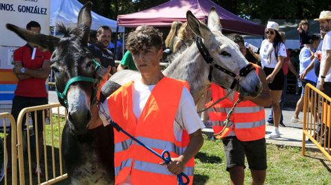 Uno de los jinetes participantes en la carrera, poco antes de la salida de su prueba