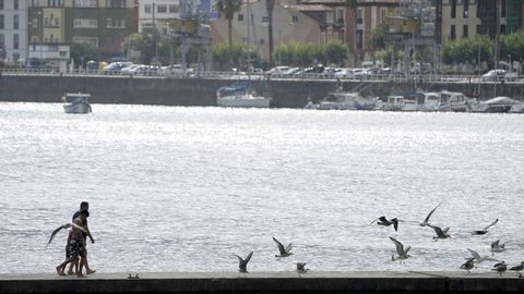 El pantal�n del puerto deportivo de San Juan de la Arena 