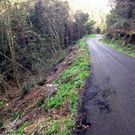 En el vial de Cerdedo a Limeres se instalar�n biondas de seguridad.
