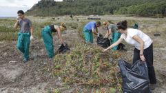 Erradicacin de especies invasoras en Balars, en imagen de archivo