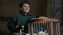 Dominic McLaughlin da vida a Harry Potter